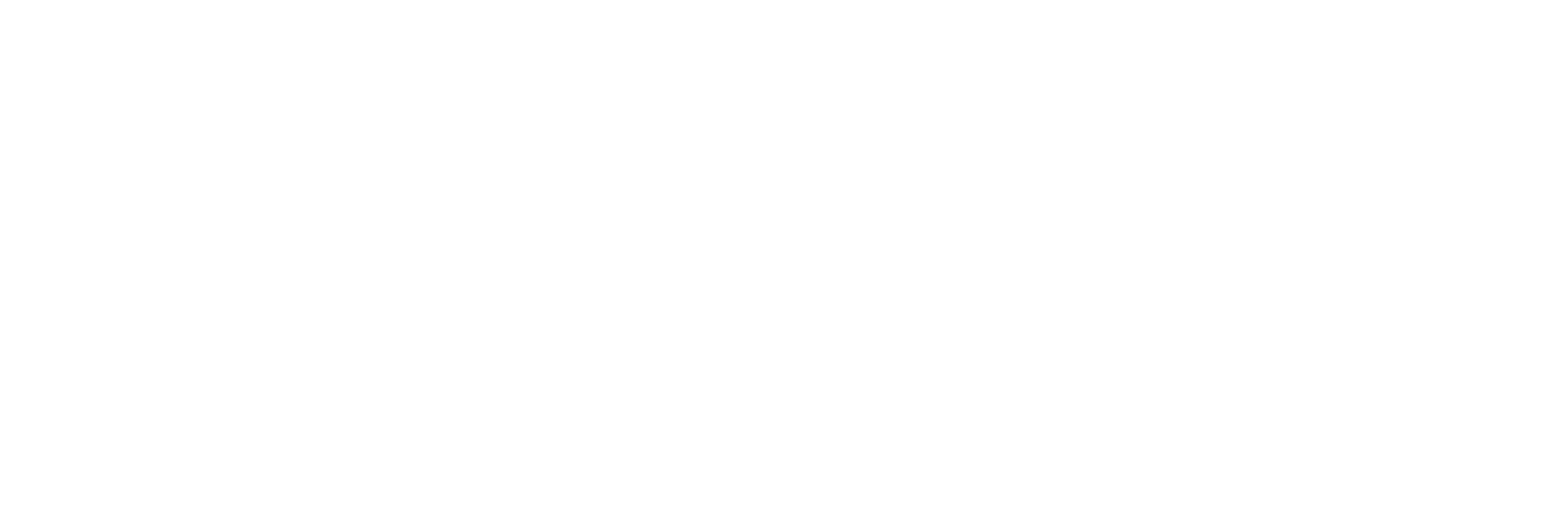 Appy white logo